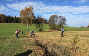 In die Lebendigkeit springen